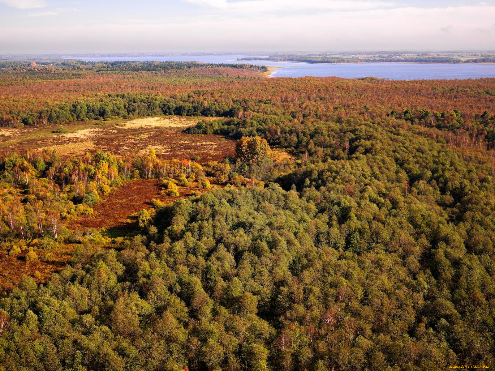 Леса Литвы